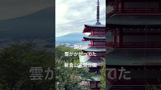 #富士山　#新倉山浅間公園  #なつめろ  #山梨　#誰かの日常
