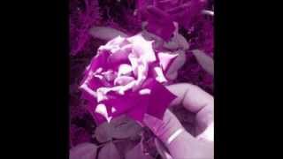 Sting - Ne me quitte pas