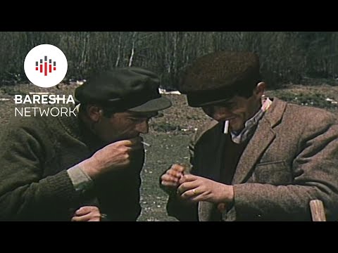 Streha e Re 1977 "New Shelter (Film Shqiptar/Albanian Movie)