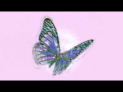 Rico Nasty, Boys Noize -  Arintintin