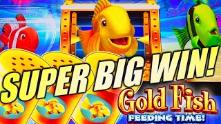 ★SUPER BIG WIN!★ GOLD FISH FEEDING MY WALLET! 🤑 GOLD FISH FEEDING TIME Slot Machine (LIGHT & WONDER)