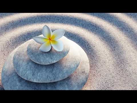 Release Stress with the Breath | 2-Minute Meditation