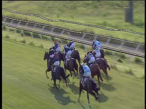 Galoppo 15/06/2018 - 4ª corsa