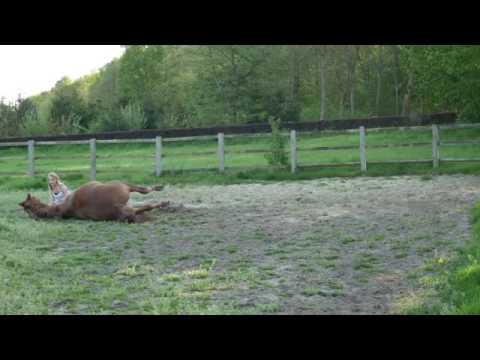 Flic Flac~ Wochenende