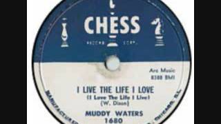 MUDDY WATERS  I Live The Life I Love  78  1958