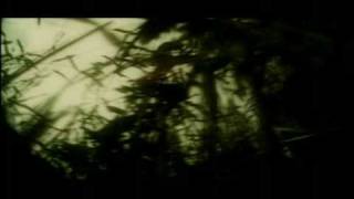 Negura Bunget - Norilor