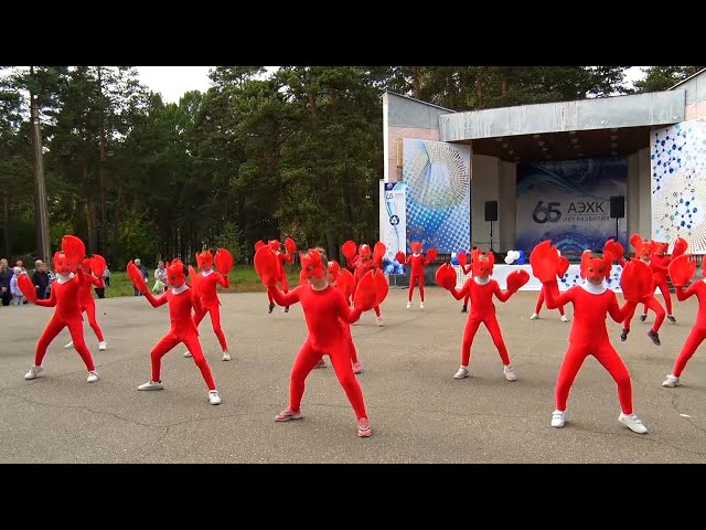 Новые жители Китоя