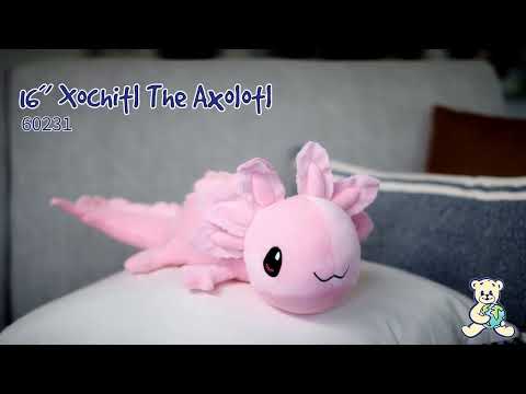 16inch Xochitl the Axolotl