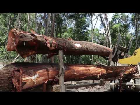 Home Affairs Leaders Hit the Streets in Belize City