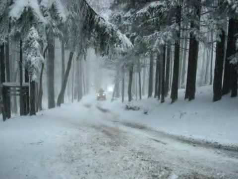 100.DEČKI  ŽUTNICE - Dolazak oklopne jedinice,sa dviju strana