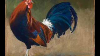 Rooster Funky song