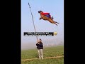 When Older Dogs Dream