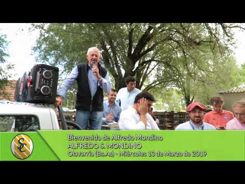 13-03-19 - Bienvenida de Alfredo Mondino - Alfredo S. Mondino - Olavarría