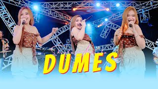 Download lagu Shinta Arsinta - DUMES | Kenyataan e dudu aku neng njero atimu  (ANEKA SAFARI) mp3