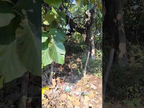 se vende esta propiedad a un kilómetro de la nueva concepción mayor información al washapp 72614392