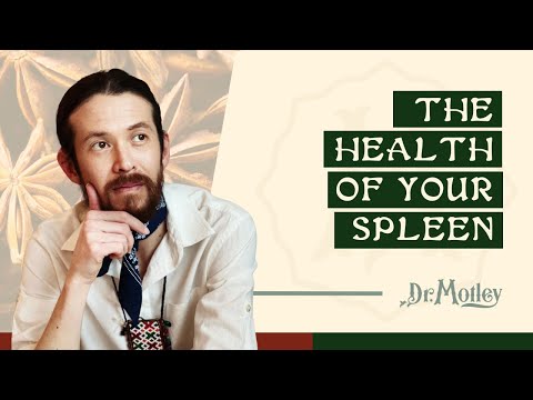 The Health of Your Spleen