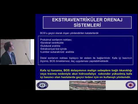 19 nozokomiyal menenjitler