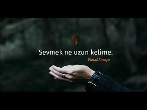 Cemal Süreya - Sevmek Ne Uzun Kelime - Sen Gelsen