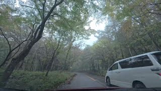 【Drive Video】Nichien Momiji Driveway