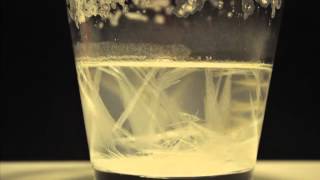 Potassium nitrate recrystallization