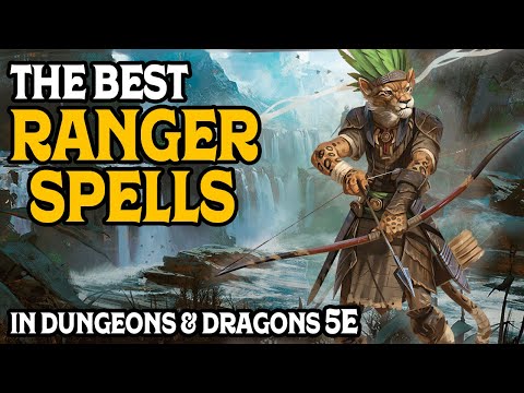 The Best Ranger Spells In D&D 5e