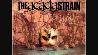 Whoa Shut It Down - The Acacia Strain 8-Bit