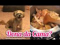 FIZ FRANGO CAIPIRA COLCHA NOVA