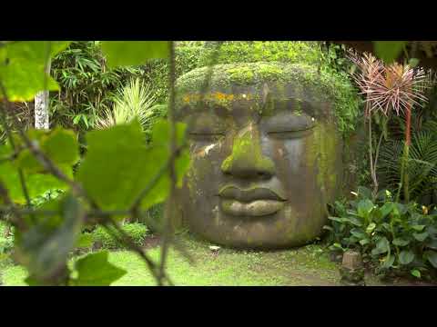 Sukhavati Ayurvedic Retreat & Wellness Spa in Bali