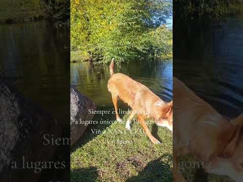 #Trevelin #Chubut #Argentina #Turismo #VanesaAraneda