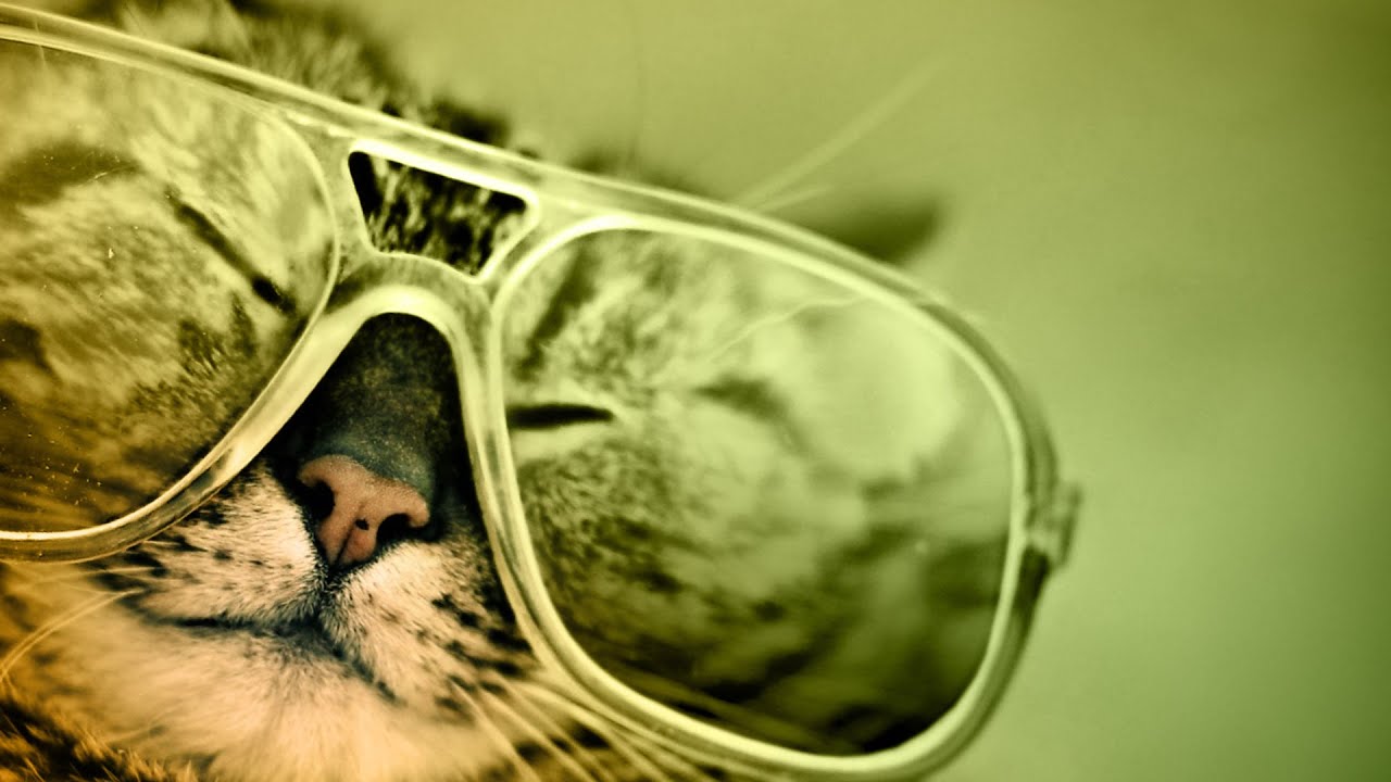 Tabby Dance Ultra-Analog VA-3 Sound Bank thumbnail 1