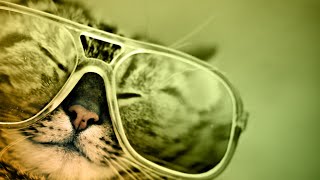 Video thumbnail for AAS Tabby Dance—Christian Laffitte sound pack for Ultra Analog VA-3 and AAS Player by Applied Acoustics Systems