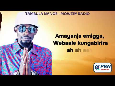 Tambula Nange - Mowzey Radio (Official Lyrics Video)