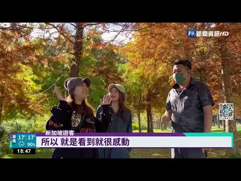 清晨1.4度結霜 銀白色武陵農場美如仙境