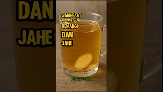 Download lagu 5 Manfaat Rebusan Daun Kemangi Dan Jahe, Yang Jarang Orang Tahu!!! mp3 Download lagu 5 Manfaat Rebusan Daun Kemangi Dan Jahe, Yang Jarang Orang Tahu!!! mp3