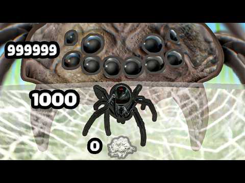 Growing a Spider Egg to MAX LEVEL TARANTULA