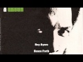 Roy Ayers - Hence Forth - Red Black and Green