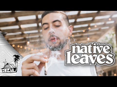 Native Leaves - Bitch, Don't Kill My Vibe - Kendrick Lamar Cover