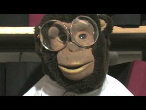 Alejandro Fuentes Bergström ger spartips till Lasse Berghagen