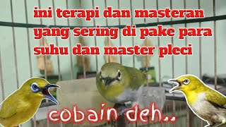 Download lagu pancingan para suhu - terapi pleci - masteran pleci mp3