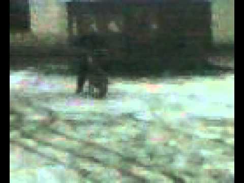 chudy mafia zielkowo