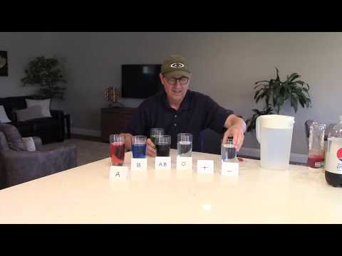 Teacher Created Science Series: #1 Understanding Blood Types