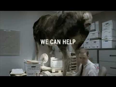 Monster.com: Moose Head (Double Take)