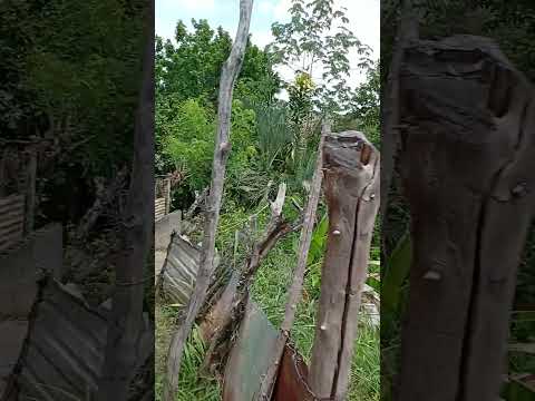 Barrio Jabillito Calle el Sargento en Charallave municipio Cristóbal rojas