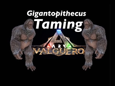 Taming Gigantopithecus and trap - Ark Valguero