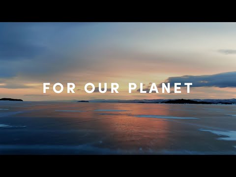 Ecologi | FOR OUR PLANET