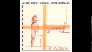 Carlos Maria Trindade & Nuno Canavarro - Plan