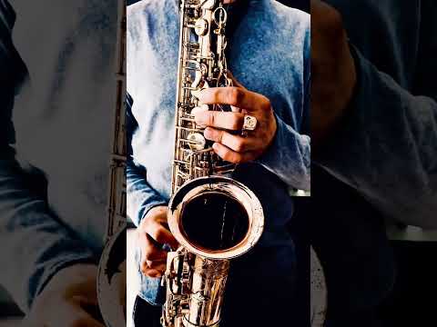 Наташа Королёва - Синие Лебеди (SAX cover by OppositeMus)