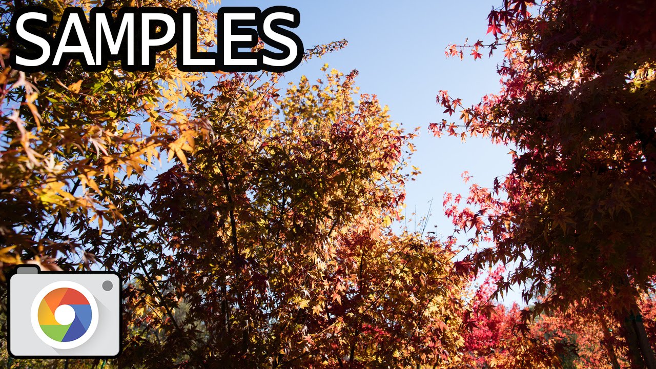 Canon EOS 5DS with EF 24mm f/1.4L II USM lens samples