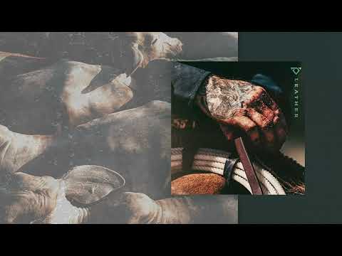 Cody Johnson - Double Down (Visualizer)