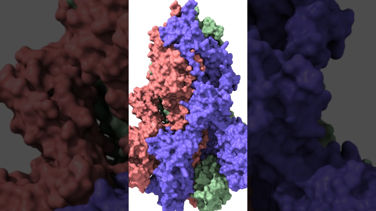 A Quick Dive into Avi-tag & Biotinylation Tags